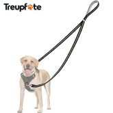 Treupfote Anti-Zieh-Leine