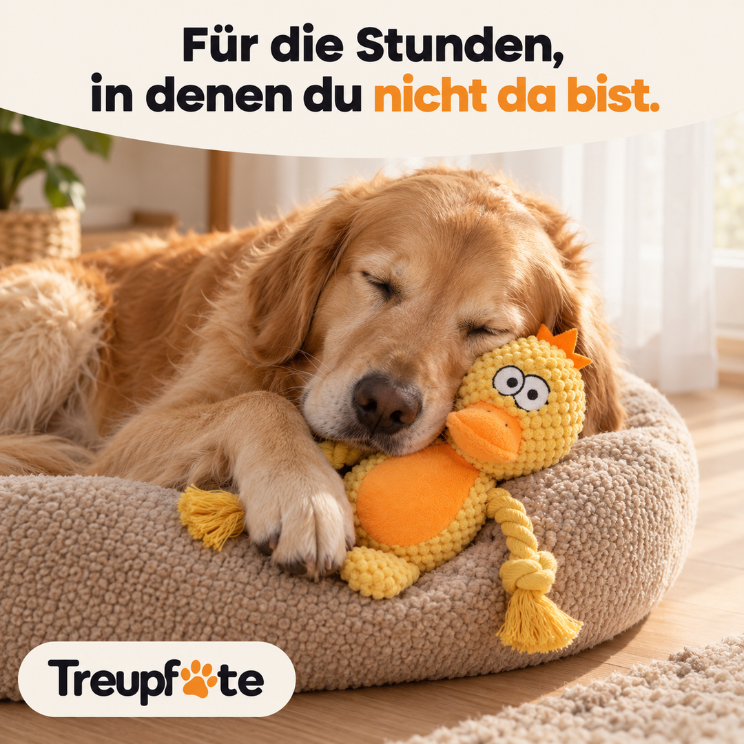 Treupfote Plüschfreunde – Hundespielzeug mit Seilarmen