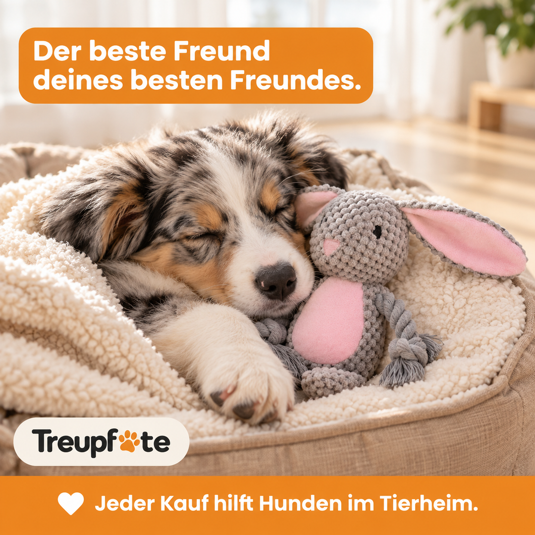 Treupfote Plüschfreunde – Hundespielzeug mit Seilarmen