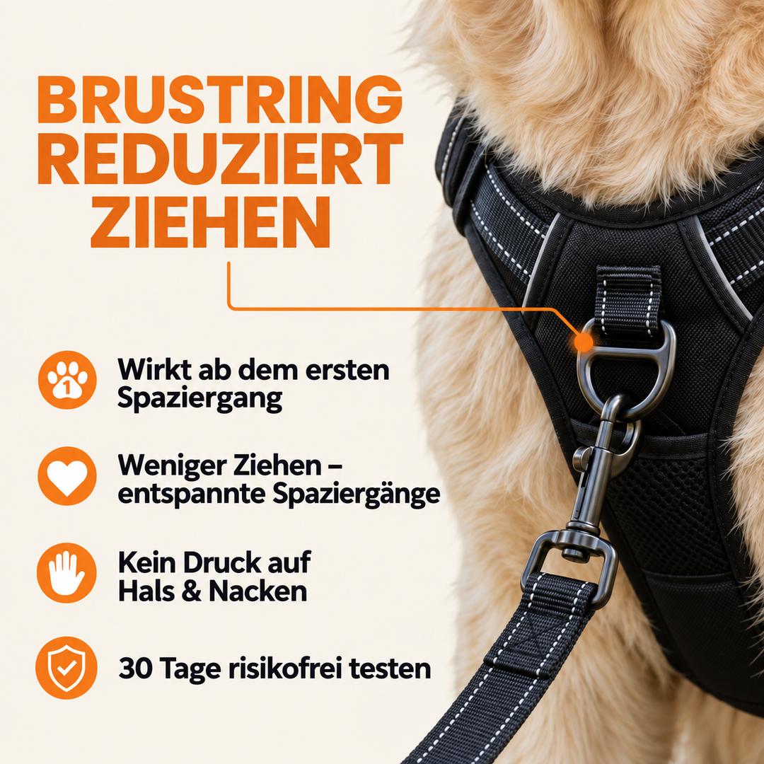 Treupfote Anti-Zieh-Geschirr