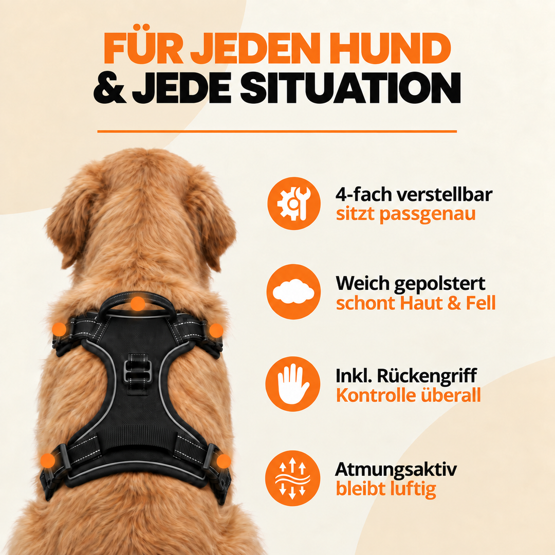 Treupfote Anti-Zieh-Geschirr