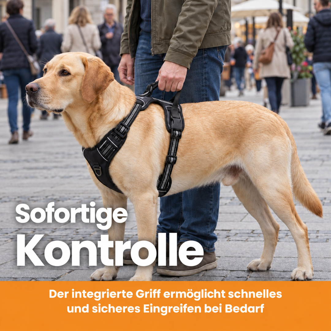 Treupfote Anti-Zieh-Geschirr