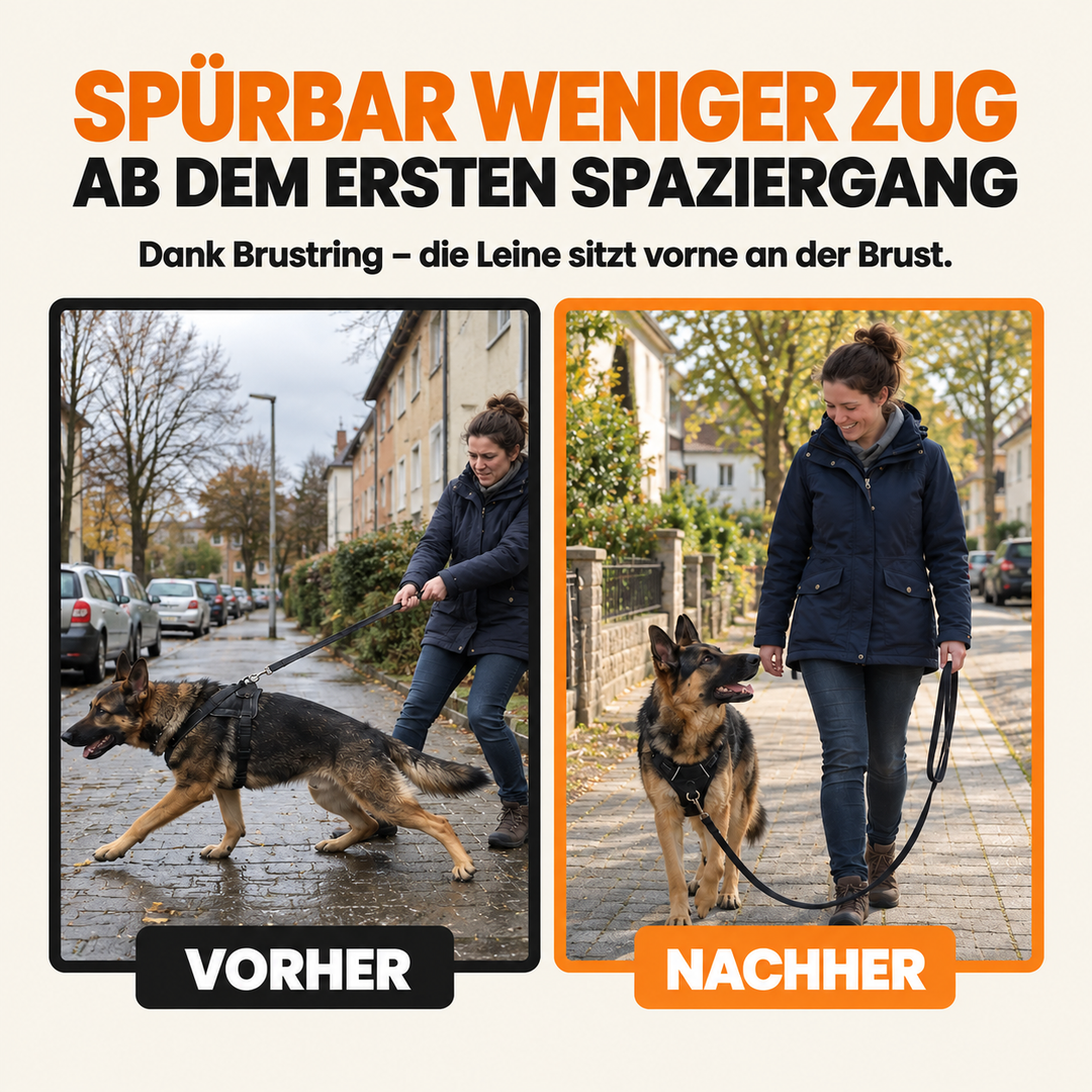 Treupfote Anti-Zieh-Geschirr