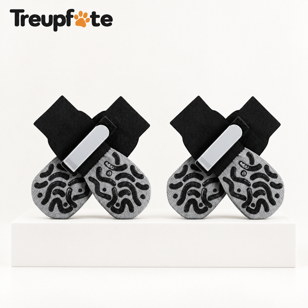 Treupfote Anti-Rutsch Hundesocken