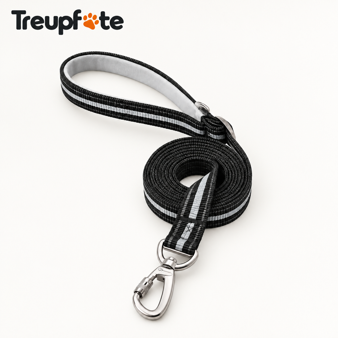 Treupfote Verstellbare Führleine 2,5 m
