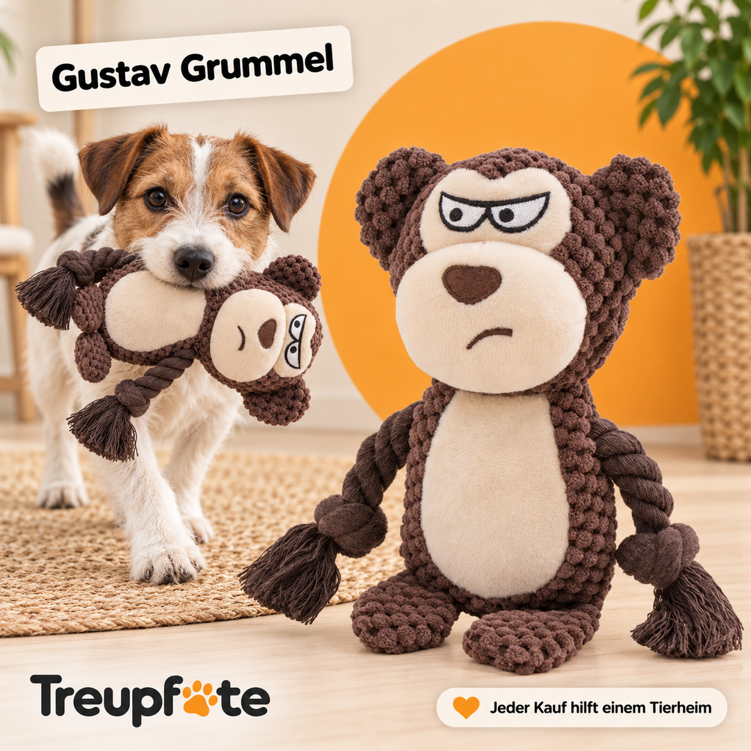 Treupfote Plüschfreunde – Hundespielzeug mit Seilarmen