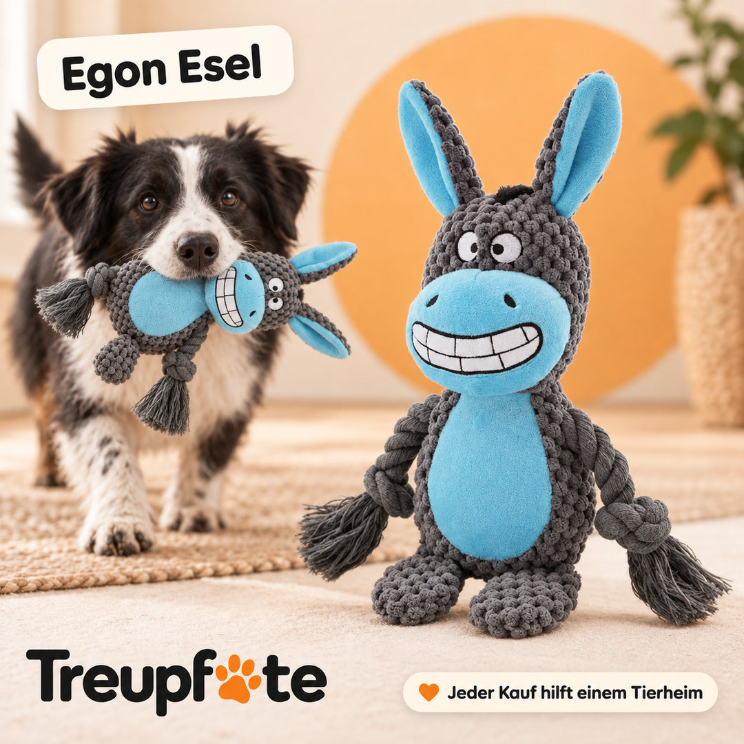 Treupfote Plüschfreunde – Hundespielzeug mit Seilarmen