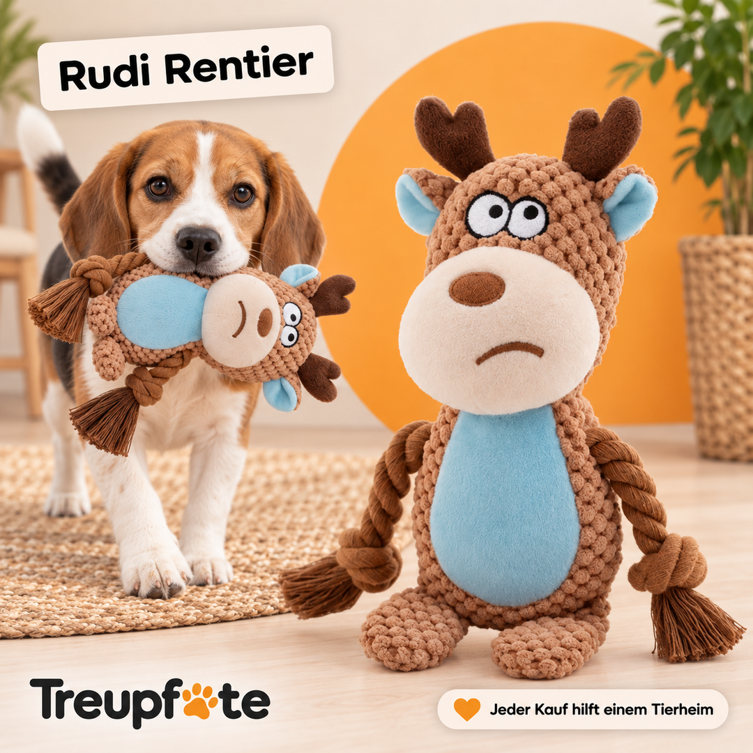 Treupfote Plüschfreunde – Hundespielzeug mit Seilarmen