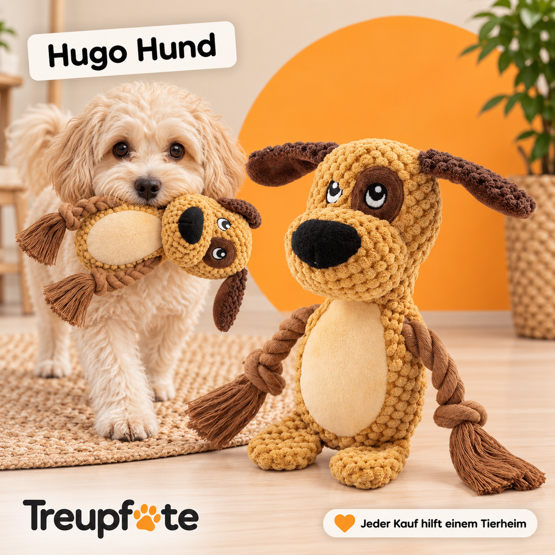 Treupfote Plüschfreunde – Hundespielzeug mit Seilarmen
