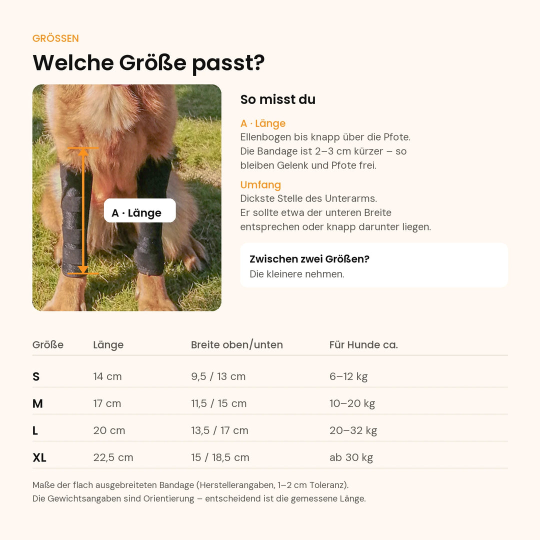 Größentabelle der Treupfote Hundebandage mit Länge und Breite in Zentimetern für S, M, L und XL