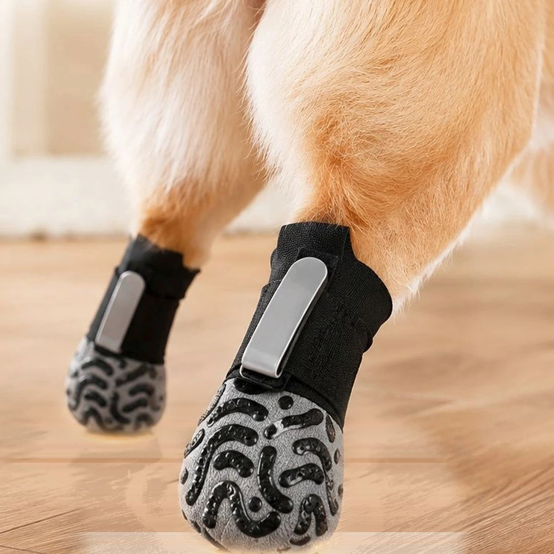 Hund läuft mit Treupfote Anti-Rutsch-Socken sicher über Laminatboden